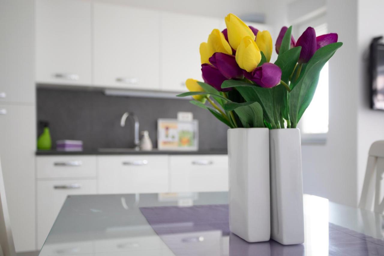 Apartament Atena Zaton Nin Zewnętrze zdjęcie