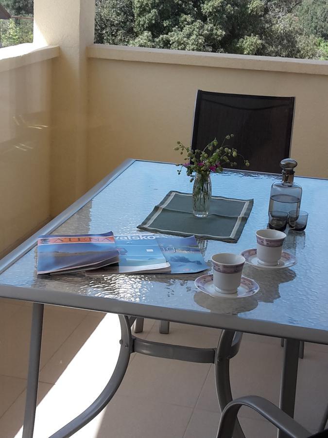Apartament Atena Zaton Nin Zewnętrze zdjęcie